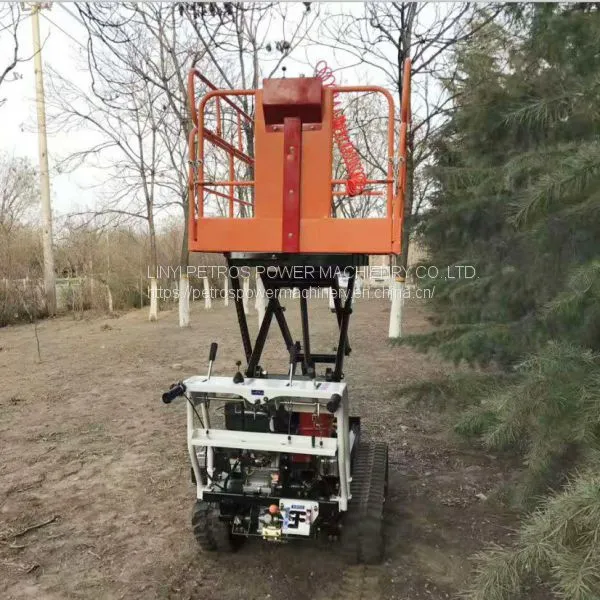 Crawler Type Dumper With Lift Container, Hydraulic Scissor Lifter photo-5