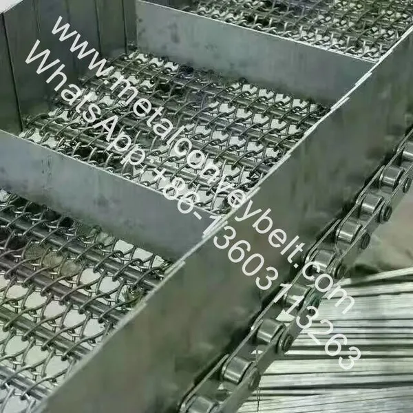 Roller Chain Driven Conveyor Belt for Cooling or Frozen photo-5