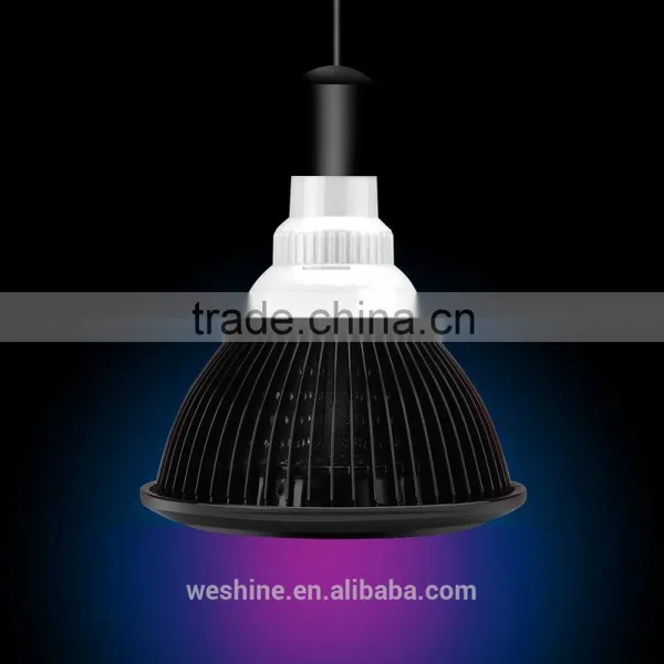 High-Tech Place 24v E27 COB LED Grow Light 21 Watts 50,000+ Hours Lifetime, Red And Blue Color Bands photo-5