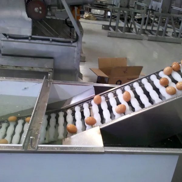 Yolk-white Separation Machine, Washing and Breaking Shell Machine, Egg Liquid Pasteurization Production Line photo-2