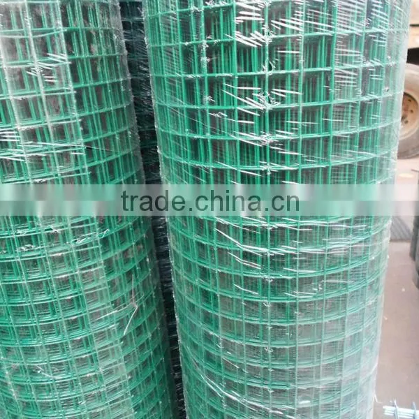 Electro Galvanized/PVC Coated/Hot Dipped Galvanized Welded Wire Mesh photo-6