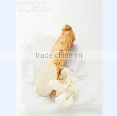 Horseradish Root
