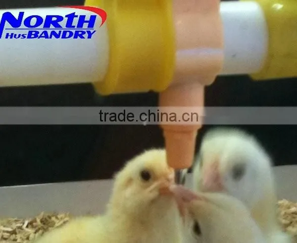 Automatic Drinker for Chicken, Plastic Poultry Drinker Cheap Price photo-6