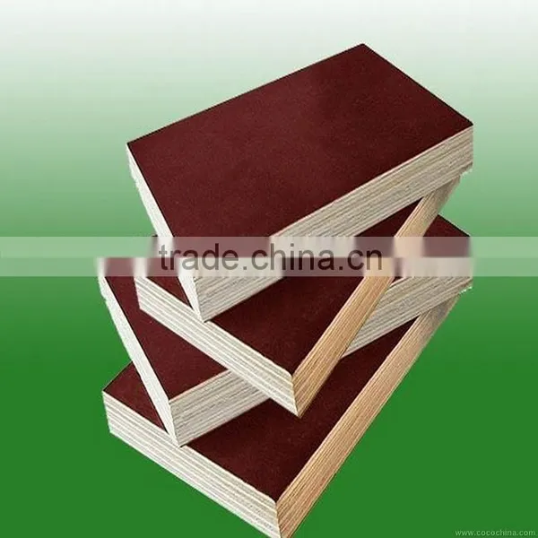 12mm Film Face Shuttering Plywood photo-4