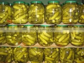 Canned Cucumber (gherkins)