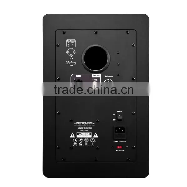 8" Monitor Speaker photo-5