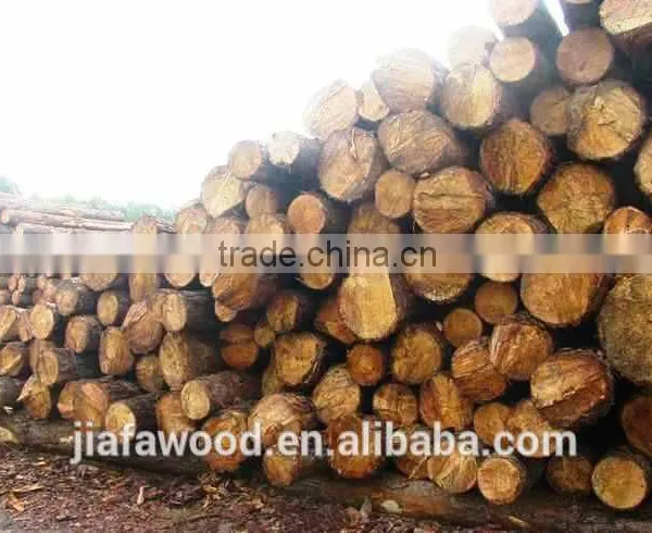 Southern Yellow Pine Logs photo-6