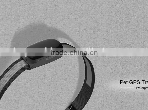 Waterproof IP67 Gps Cat Collar,gps Dog,tracker Gps for Dog photo-2