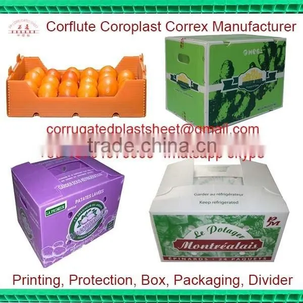Corrugated Board 2kg Cherry Packaging Box photo-2