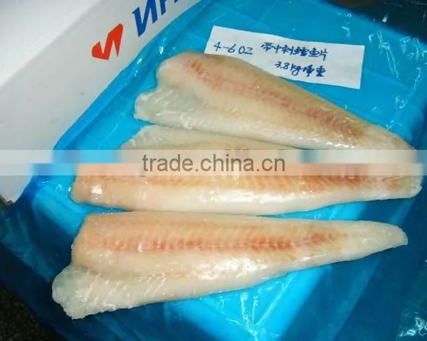Frozen Alaska Pollock Fillet Fish
