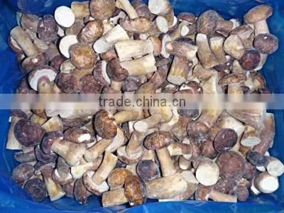 Good Quality Frozen IQF King Oyster Mushroom Pieces photo-6