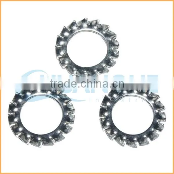 China Professional Manufacturing Stainless Steel Self Lock Washer photo-5