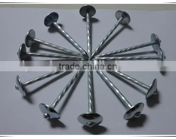 Best Price Umbrella Head Smooth Plain Shank Roofing Nail Made in China photo-4