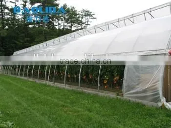 Factory Price BaoLiDa Poly Tunnel Greenhouse For Vegetables /Fruits /Crops photo-3