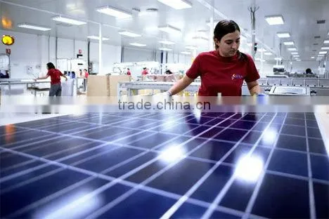 Solar Products 200W Portable Solar Power System photo-4