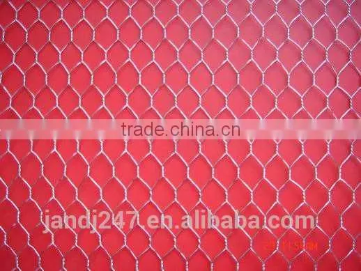 Hexagonal Fencing Wire Netting for Farm With Wholesale Price