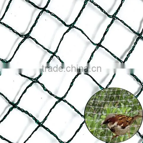 Plastic Mesh HDPE Knitted Vineyard Knotless Bird Proof Net Anti Bird Protection Netting for Vegetable With UV Protection photo-2
