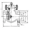 Low Temperature Check Valve