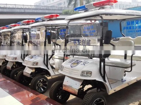 Hot Sale Electric Car 48V Brushless Motor Electric Vehicles photo-3