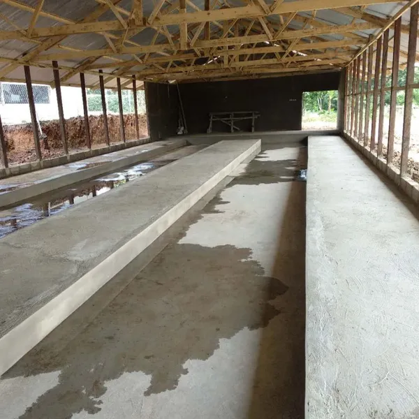 China Chicken Cage Factory Offer Good Quality Poultry Equipment--Demeter Machinery photo-5
