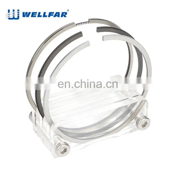 Wellfar PEUGEOT 206 Engine Parts Rings Piston 75mm For PEUGEOT 206 Engine photo-4