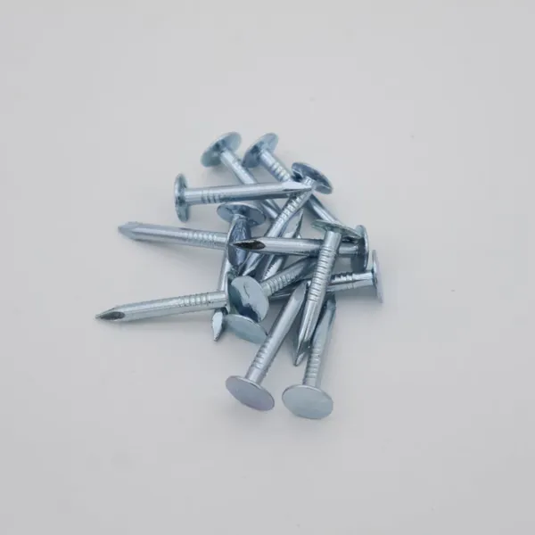 Roofing Repair Nails - Specially Designed for Bitumen Felt and Waterproofing
