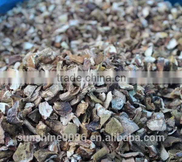 Dried Porcini Mushroom Fresh Mushroom Farm photo-5