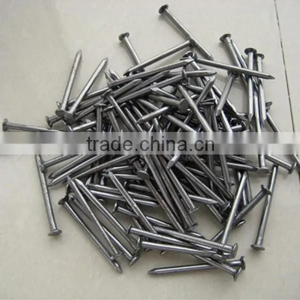 Polished Common Nails/ Common Iron Nail /common Wire Nail photo-5
