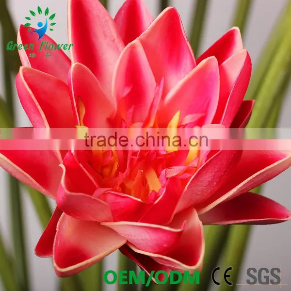 Greenflower 2016 Wholesale NaturalTouch Latex PU China Waterlily Artificial Flowers Latus for Wedding Decoration photo-2