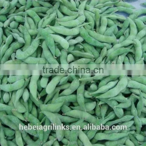 Frozen Soyabean, Frozen Type Fresh Soyabean photo-5