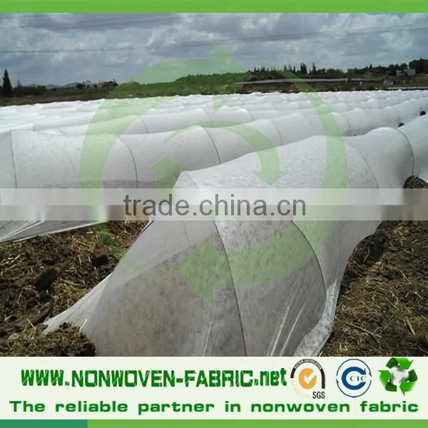 High Quality Polypropylene Agriculture Fleece Spunbond Nonwoven Fabric
