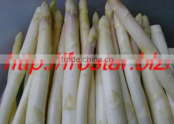 IQF Asparagus White