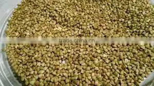 Green Buckwheat/roasted Buckwheat/raw Buckwheat