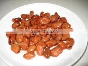 Canned Broad Beans, Canned Broad Beans in Brine for Sale