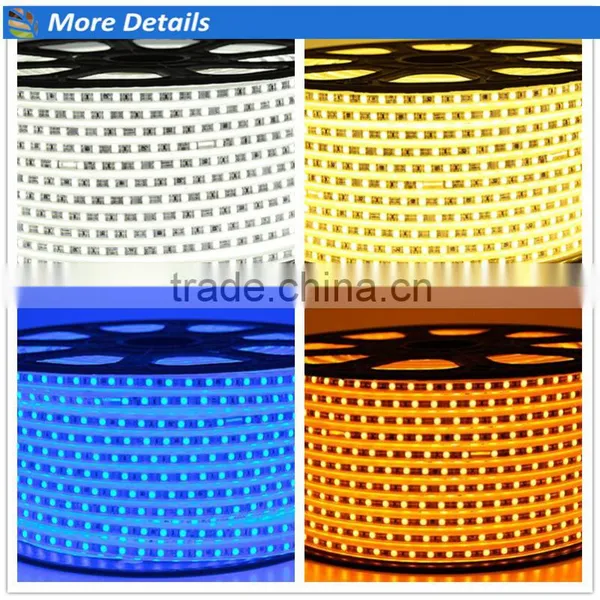 Outdoor Illuminated Signs SMD LED Strip Light, 30/60LEDs/meter LED Rope Light Strip photo-3