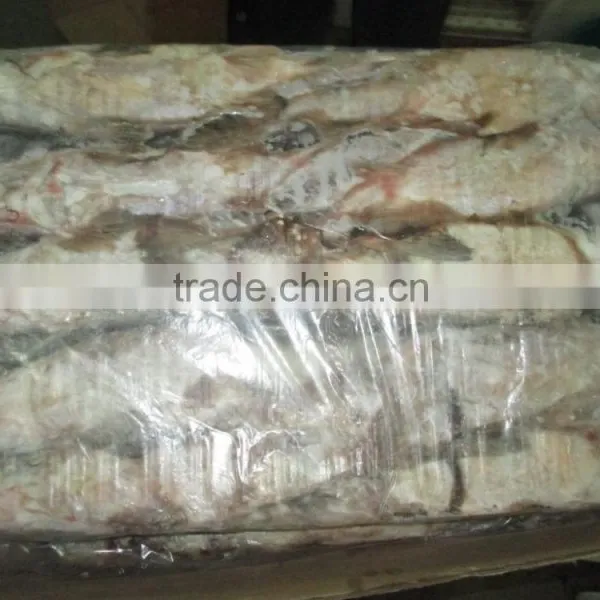 FROZEN CAT FISH