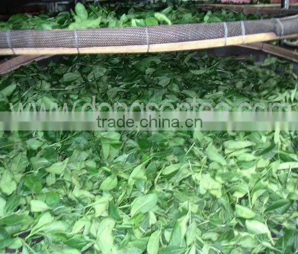 Vietnam High Quality Black Tea photo-5