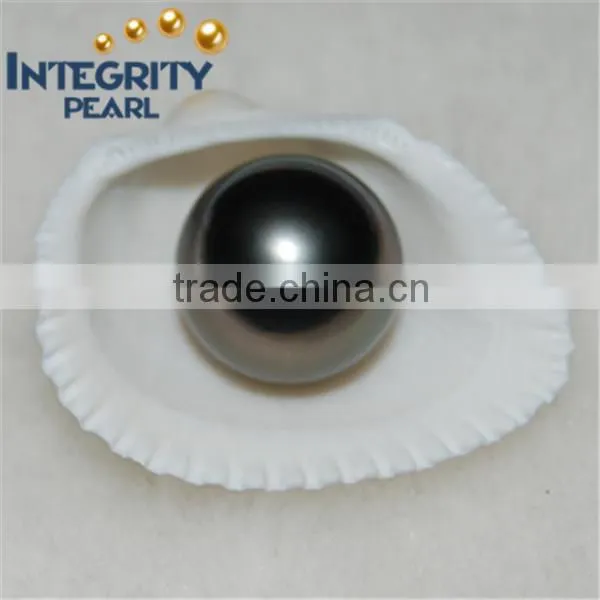 13-14mm Peacock Green Tahitian Pearls