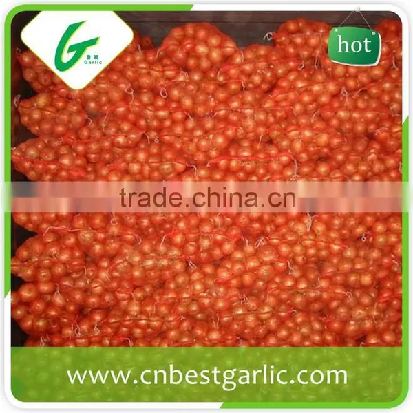 China Cheap Onion Price photo-2