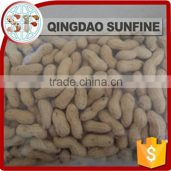 Red Skin Peeled Roasted Peanut in Shell photo-5