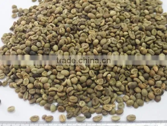 UNWASHED ROBUSTA GREEN COFFEE BEANS GRADE 1 SCREEN 18 photo-3