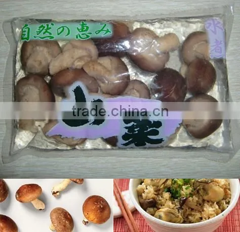 Canned Shiitake Mushroom Shiitake in Tin Price for Shiitake photo-3