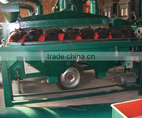 Beans Pulse Polisher / Bean Pulse Polishing Machine (Hot Sale in Africa) photo-6