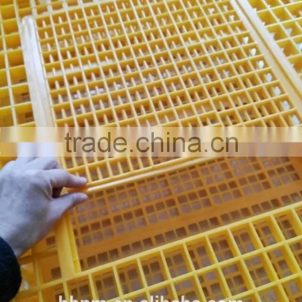 2016 Cost-effictive Good Quality Plastic Transport Chicken Crate/cage for Sale photo-3