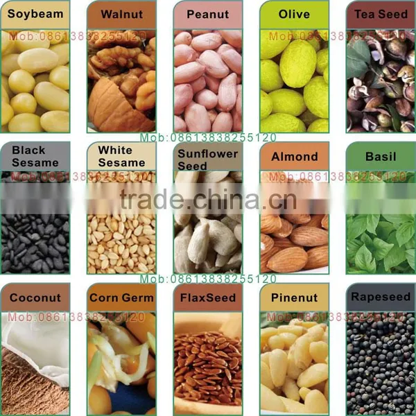 Machine Manufacturers Prickly Pear Seed Oil Extraction Machine photo-2