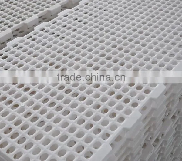 High Quality Slat Floor for Poultry Farm photo-4