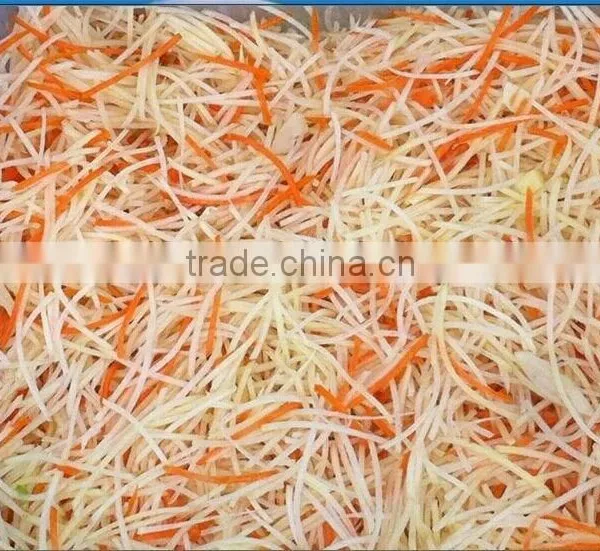 Full Automatic Vegetable Cutter Machine/ Potato Slicer Cutter Machine photo-2