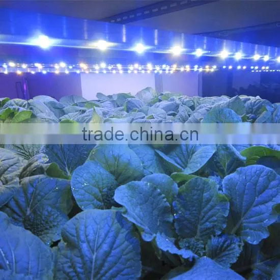 Marshydro Grow Led Light Full Spectrum Tube Led Grow Light Bar for Tomato Seed for Greenhouse Hydroponics photo-4