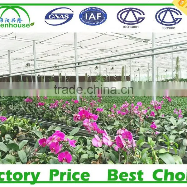 Vegetable Growing Intelligent Glass Greenhouse photo-5