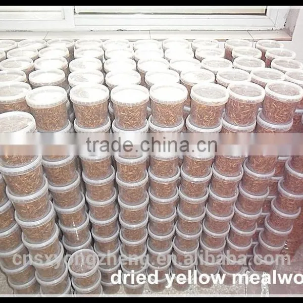 FDA Certification 2.8cm Fish Food Microwave Mealworms;Mealworms;Dried Mealworms for Fish Food photo-4